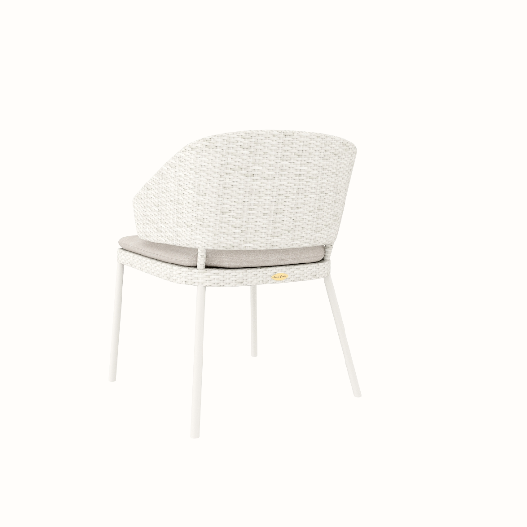 Dinning Armchair With Cushion