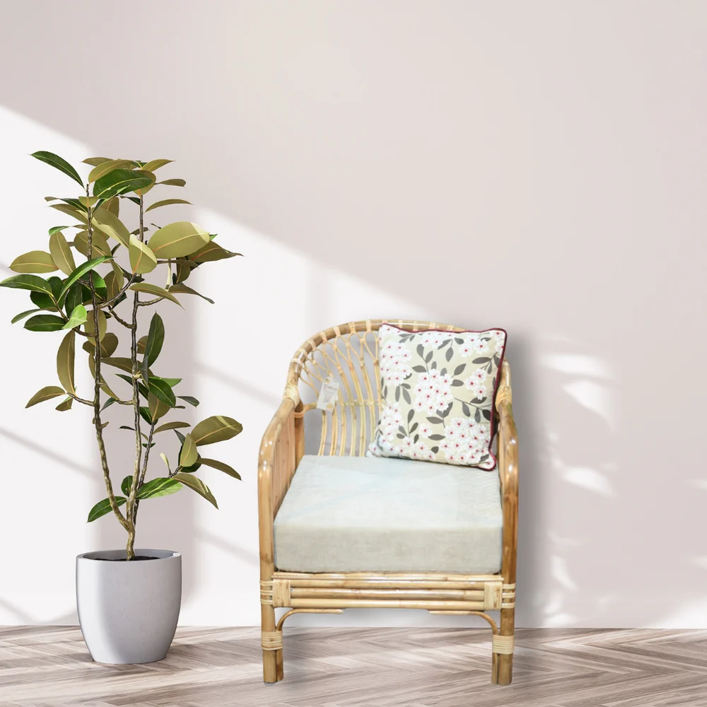 Modern Chair with Low Rise Rattan Design for Indoors