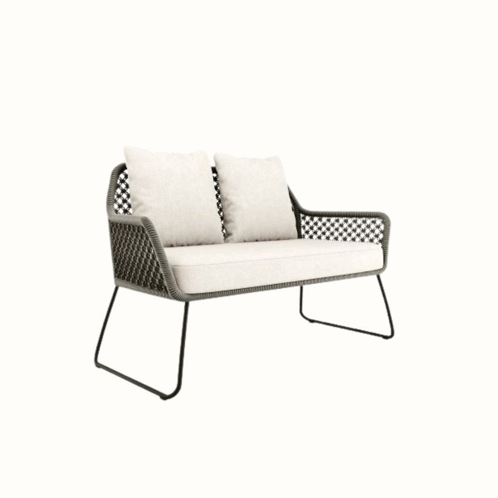 Contemporary Double Sofa with Cushion Se