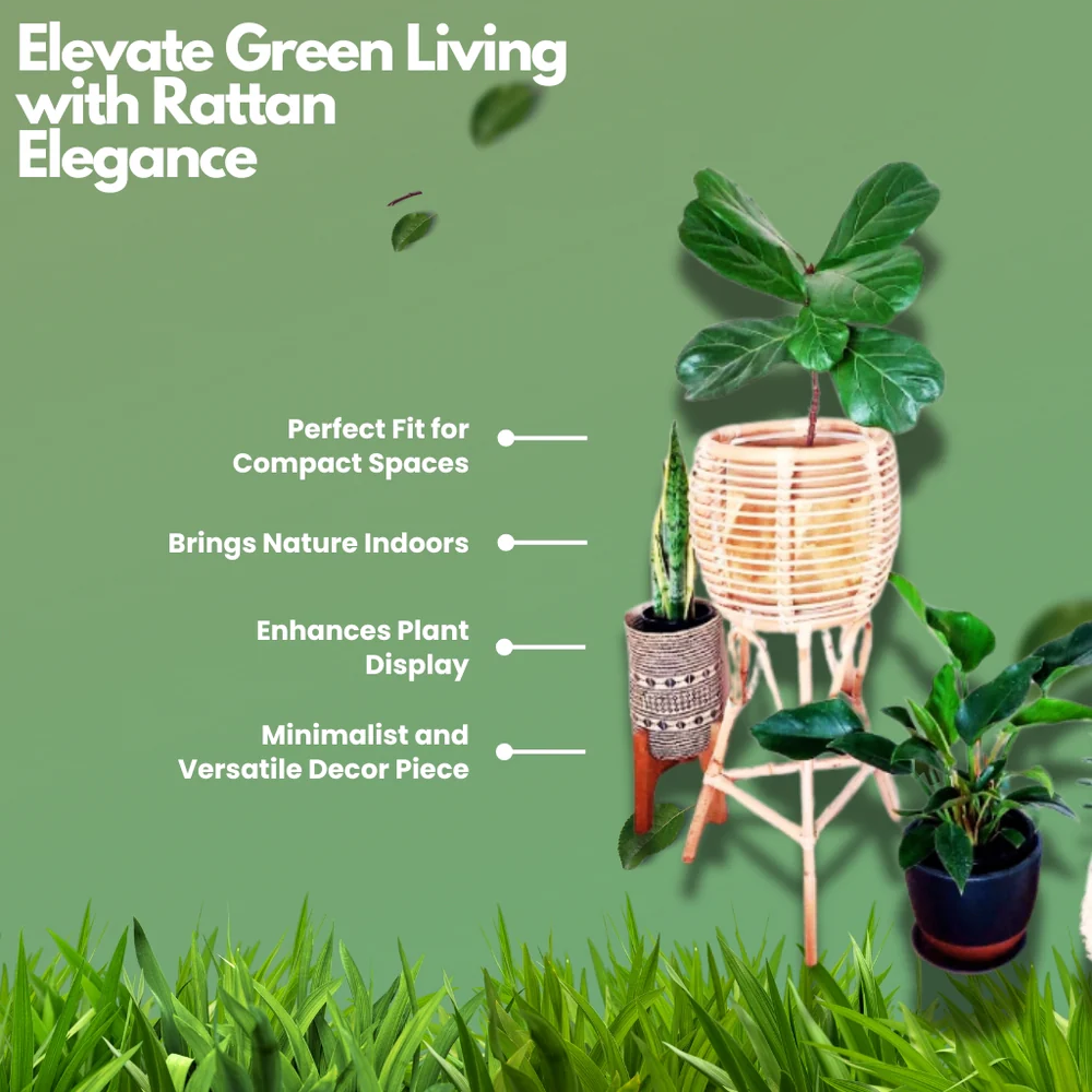 Whimsy Rattan Planter with Tripod Stand for Modern Decor