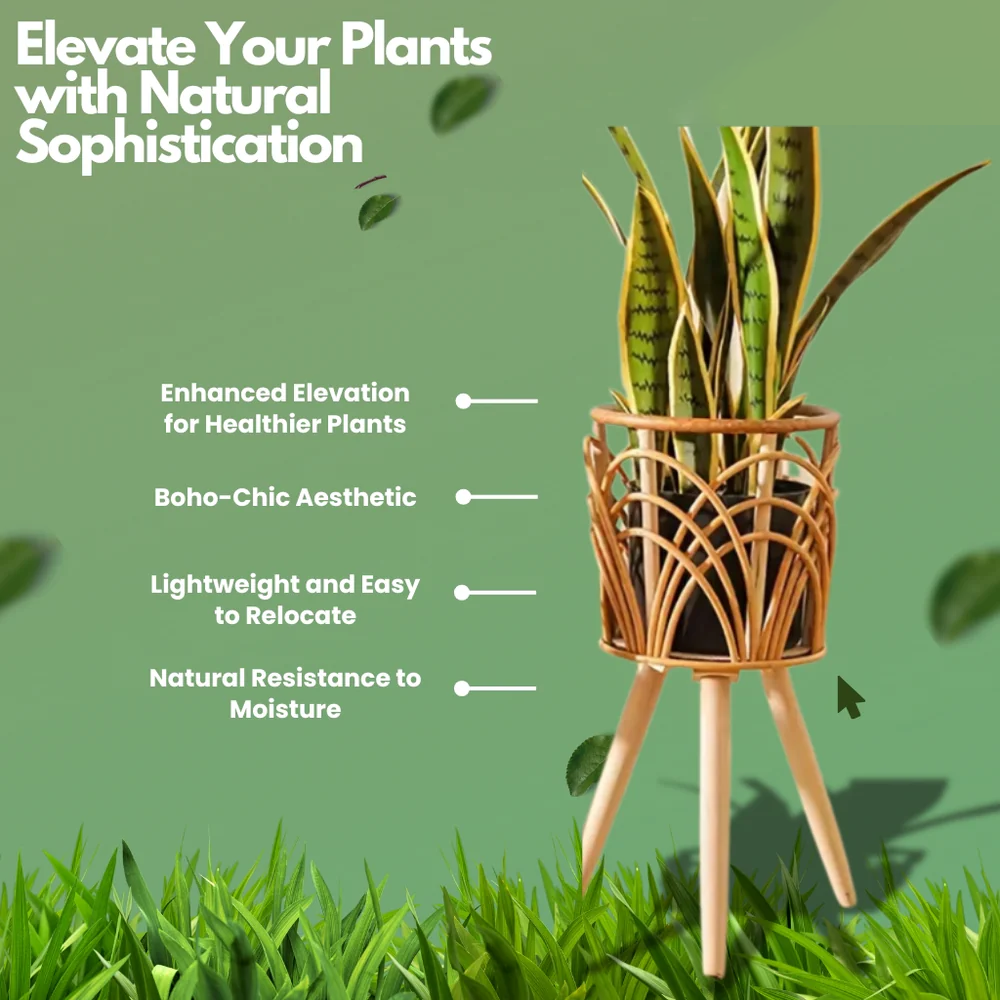 Rattan Plant Stand Trio with Tripod Legs for Decor