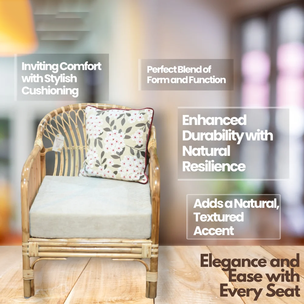 Modern Chair with Low Rise Rattan Design for Indoors