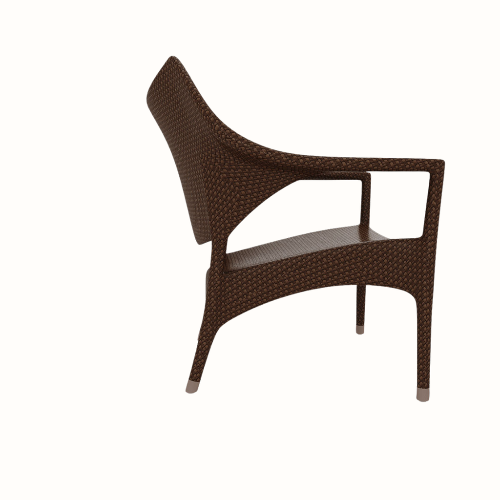 Single Lounge Sofa with Cushions