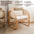 Cane Furniture Chair | Rhapsody in Natural Rattan for Indoor & Outdoor