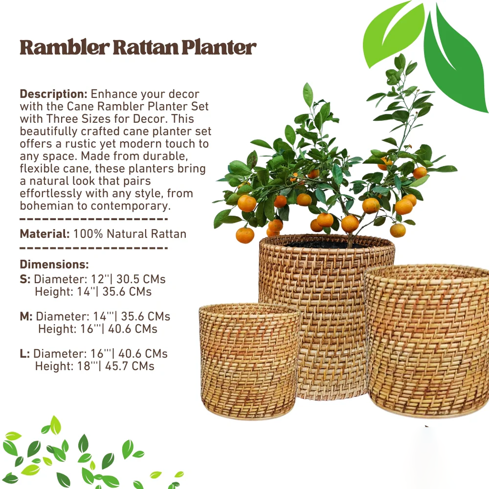 Cane Rambler Planter Set with Three Sizes for Decor
