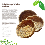 Trio Wicker - Natural Rattan Basket Set (Set of 3)
