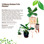 Whimsy Rattan Planter with Tripod Stand for Modern Decor