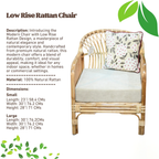 Modern Chair with Low Rise Rattan Design for Indoors