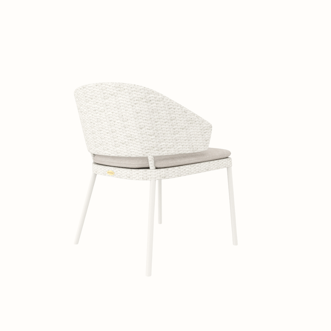 Dinning Armchair With Cushion