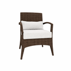 ARMCHAIR WITH CUSHION (AHO/021/002)