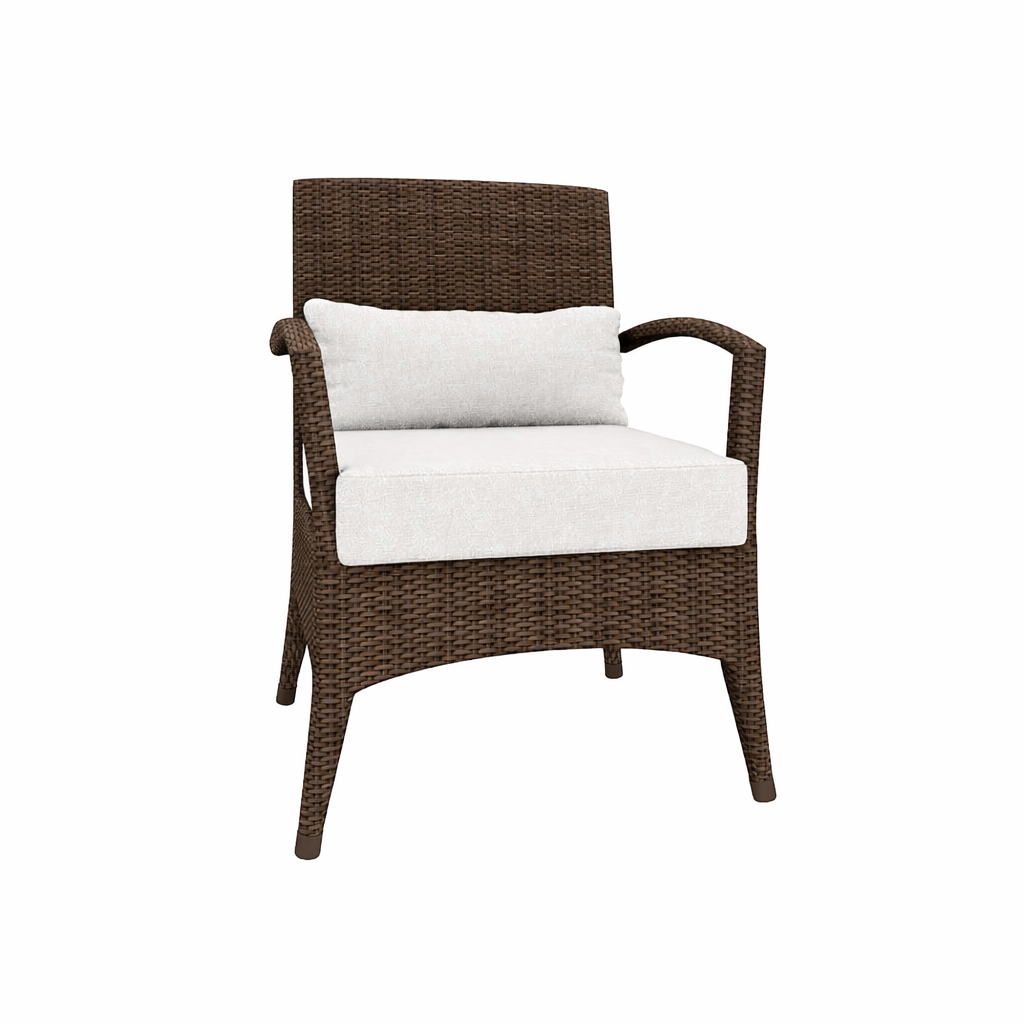 ARMCHAIR WITH CUSHION (AHO/021/002)