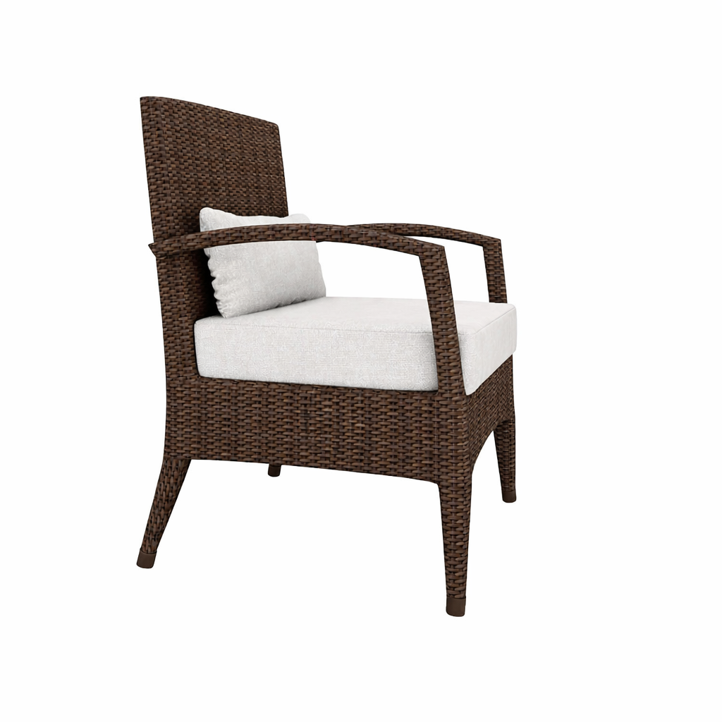 ARMCHAIR WITH CUSHION (AHO/021/002)