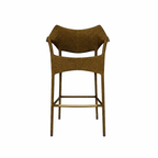 BAR STOOL WITH ARMS WITH CUSHION (AHO/001/006)