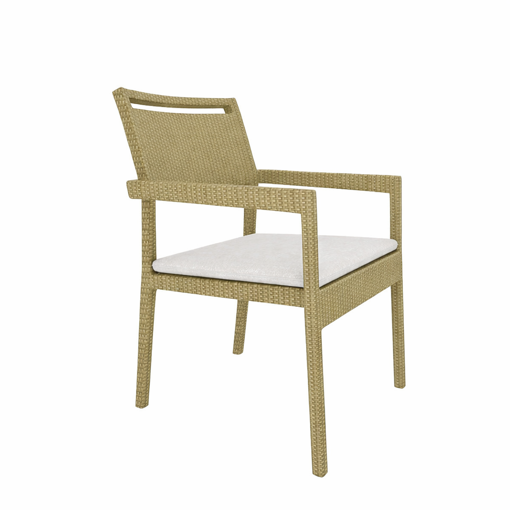 SINGLE SEATER LOUNGE CHAIR WITH CUSHION (AHO/005/008)