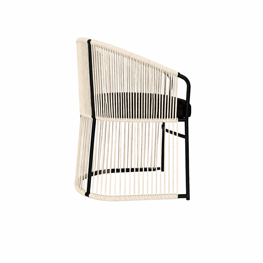 DINING ARMCHAIR WITH CUSHIONS (AHO/041/001)