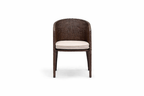 DINING ARMCHAIR WITH CUSHION (AHOD/250/001)