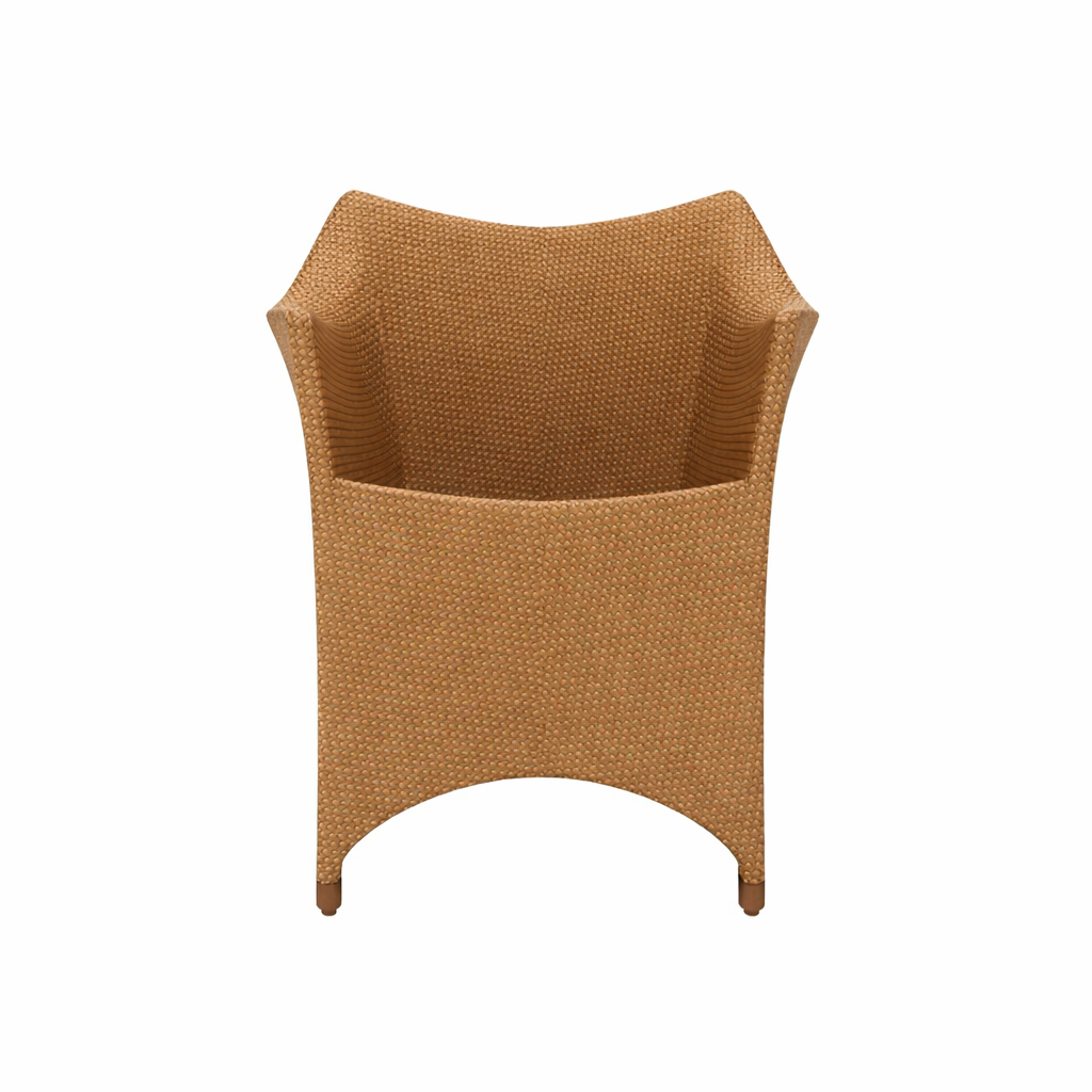 FULLY WOVEN DINING ARMCHAIR WITH CUSHIONS (AHO/001/016)
