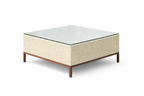 CENTER TABLE WITH GLASS TOP (AHOL/189/005)