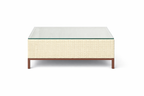CENTER TABLE WITH GLASS TOP (AHOL/189/005)