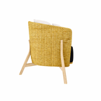 SINGLE SOFA CHAIR WITH CUSHION (AHO/016/003)