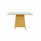 DINING TABLE WITH GLASS TOP (AHO/048/003)
