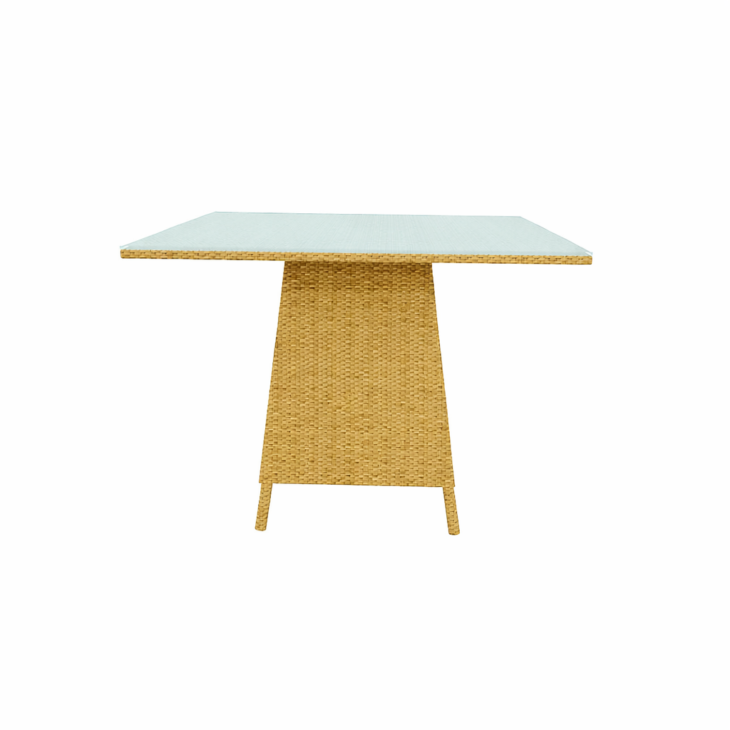 DINING TABLE WITH GLASS TOP (AHO/048/003)
