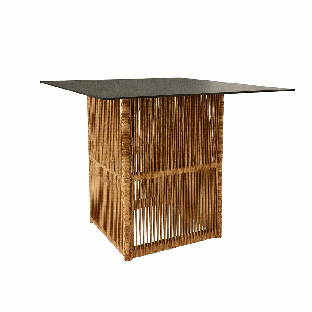 DINING TABLE WITH HPL TOP (AHO/057/002)