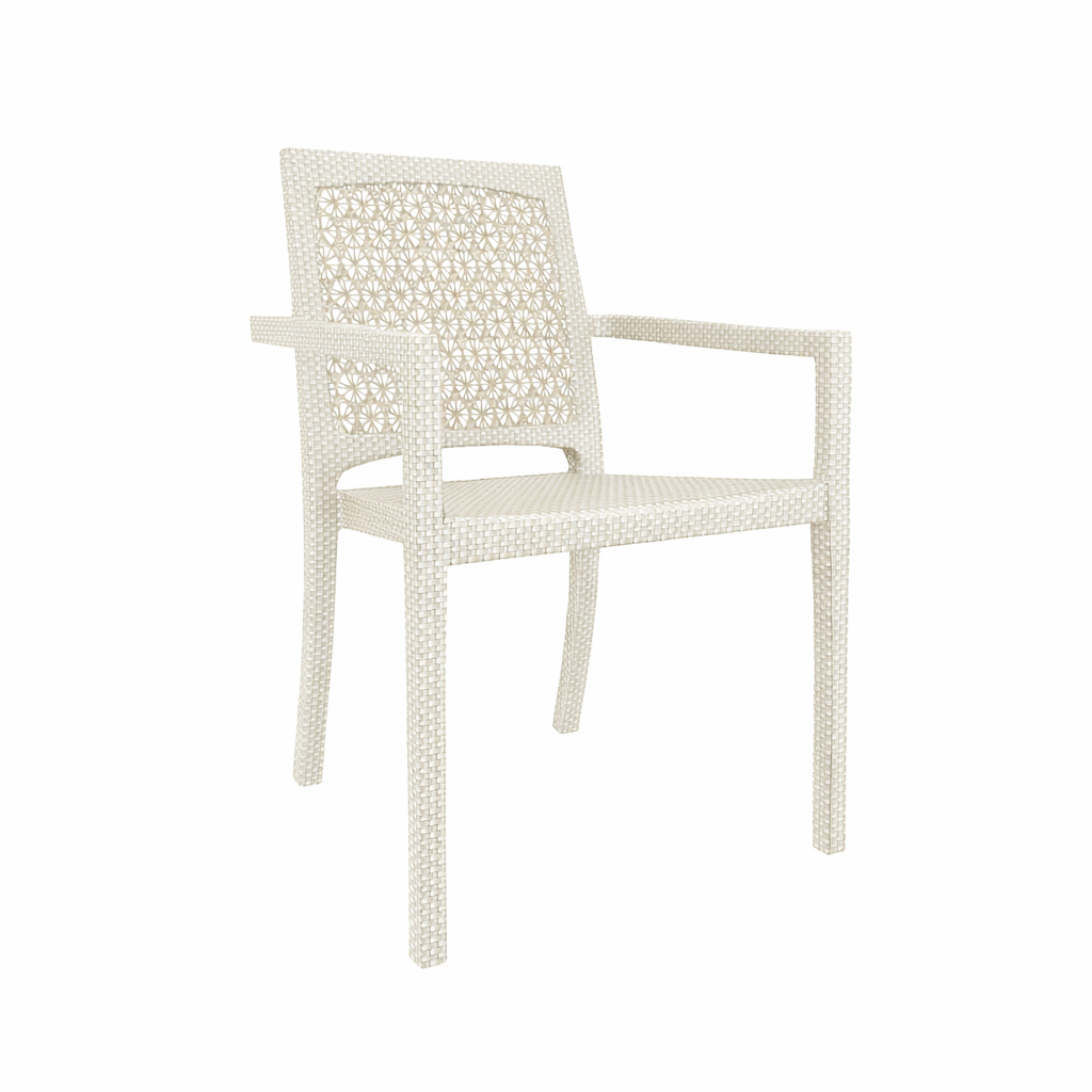 CHAIR WITH ARMS (WITH CUSHION) (AHO/030/011)