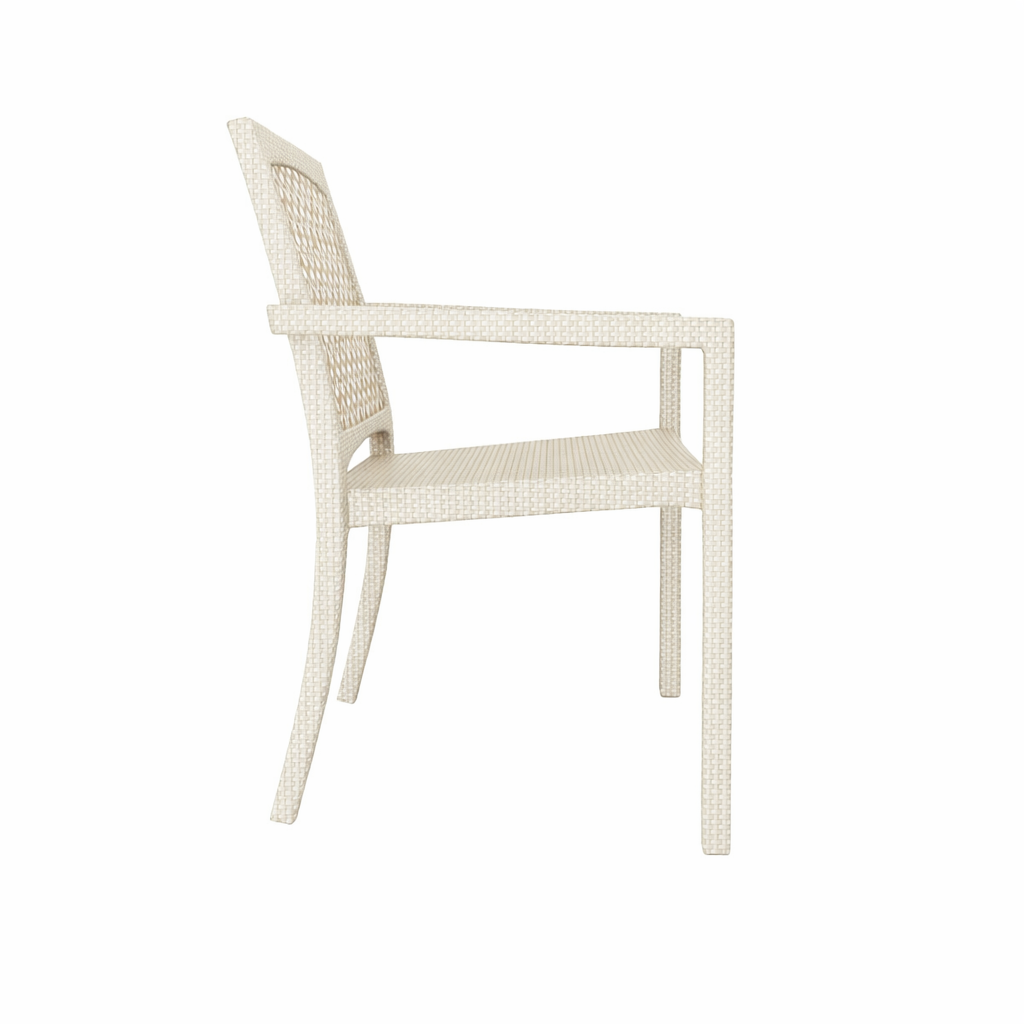 CHAIR WITH ARMS (WITH CUSHION) (AHO/030/011)