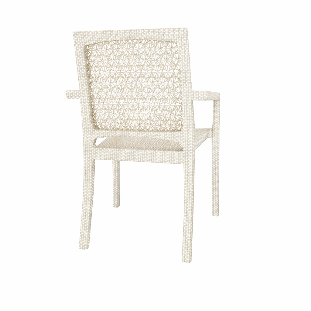 CHAIR WITH ARMS (WITH CUSHION) (AHO/030/011)