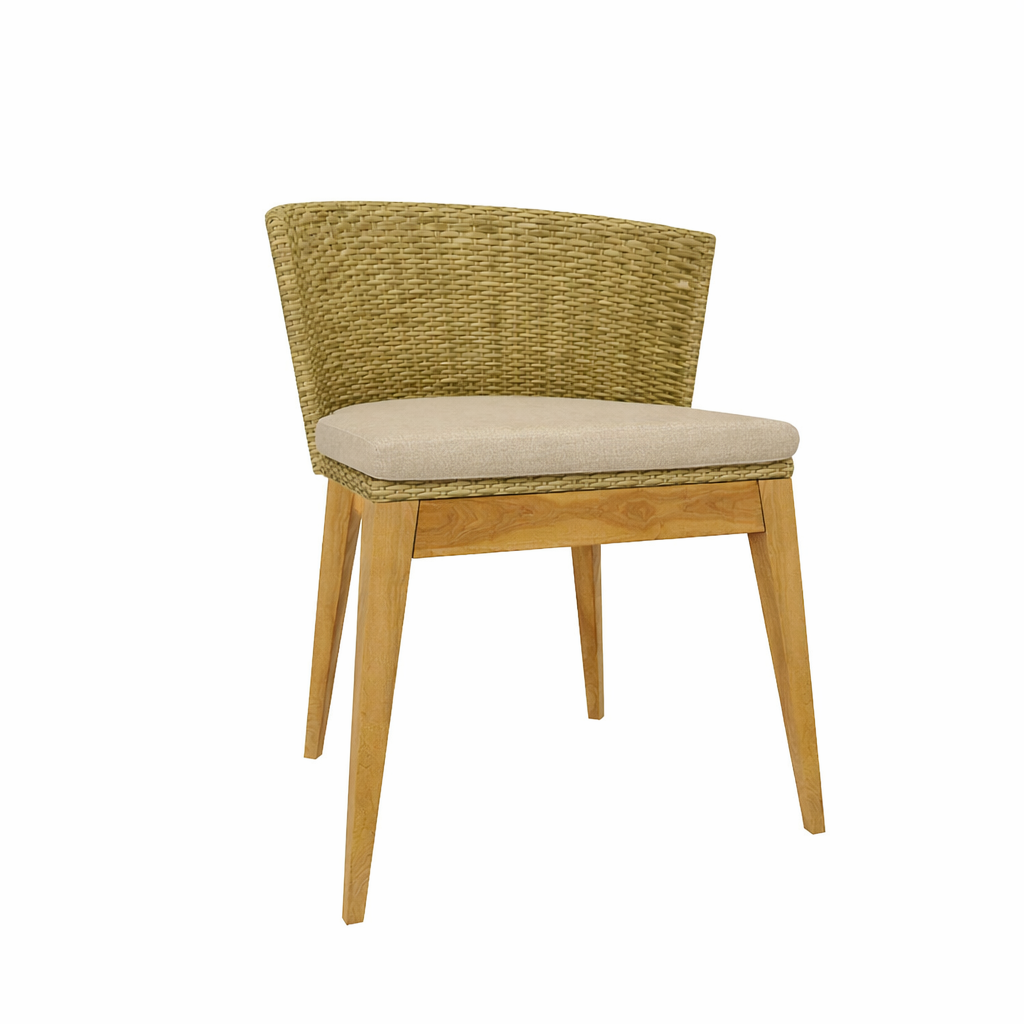 CHAIR WITH CUSHION (AHO/017/001)