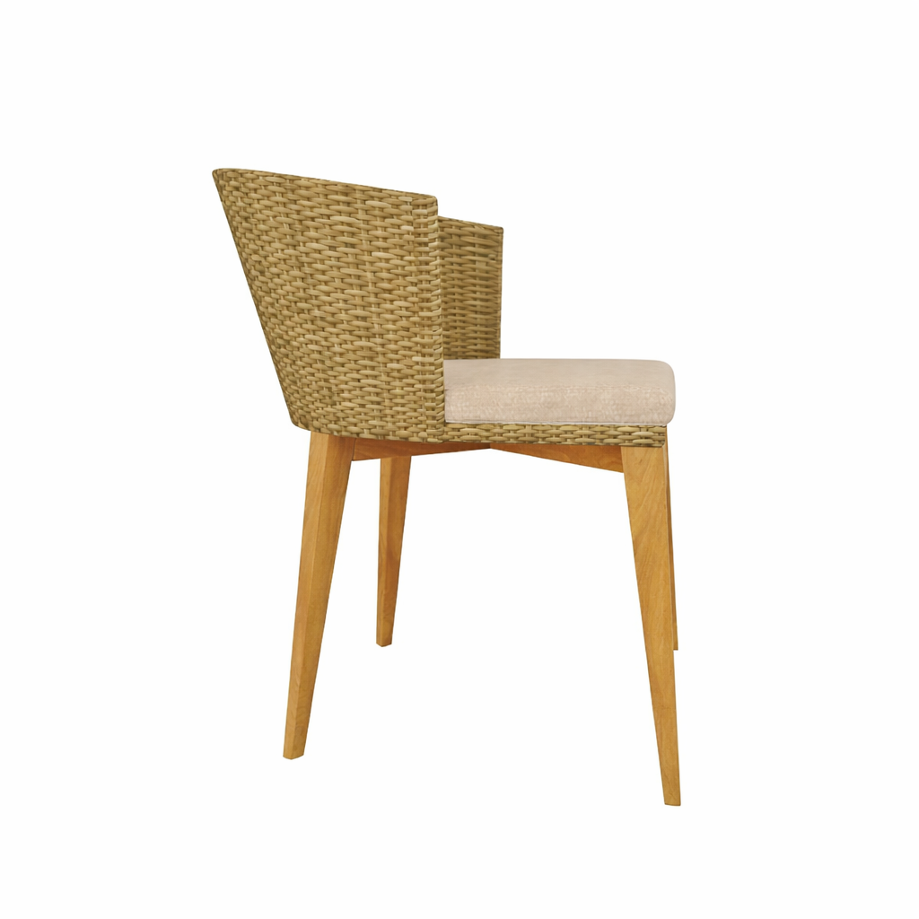 CHAIR WITH CUSHION (AHO/017/001)