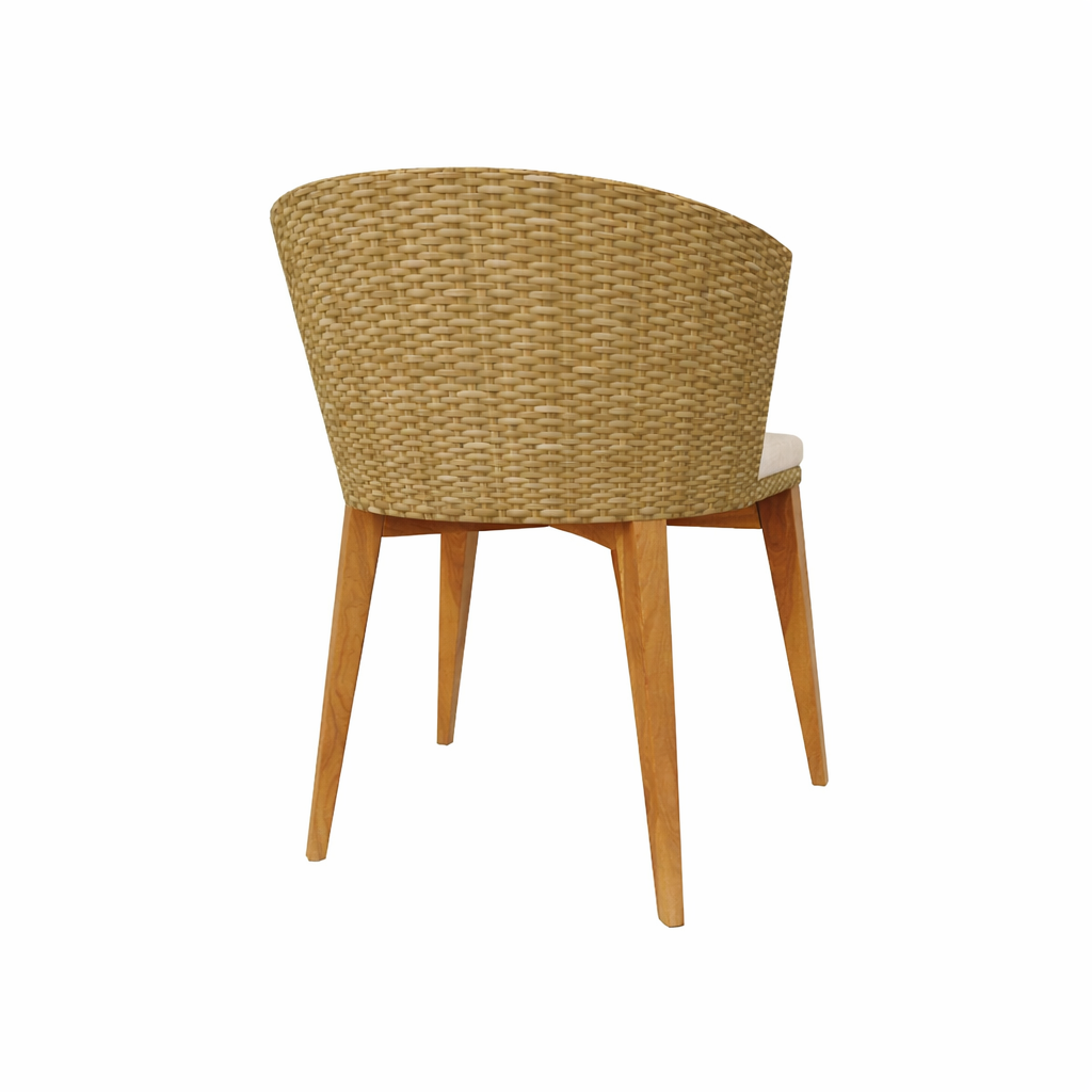 CHAIR WITH CUSHION (AHO/017/001)