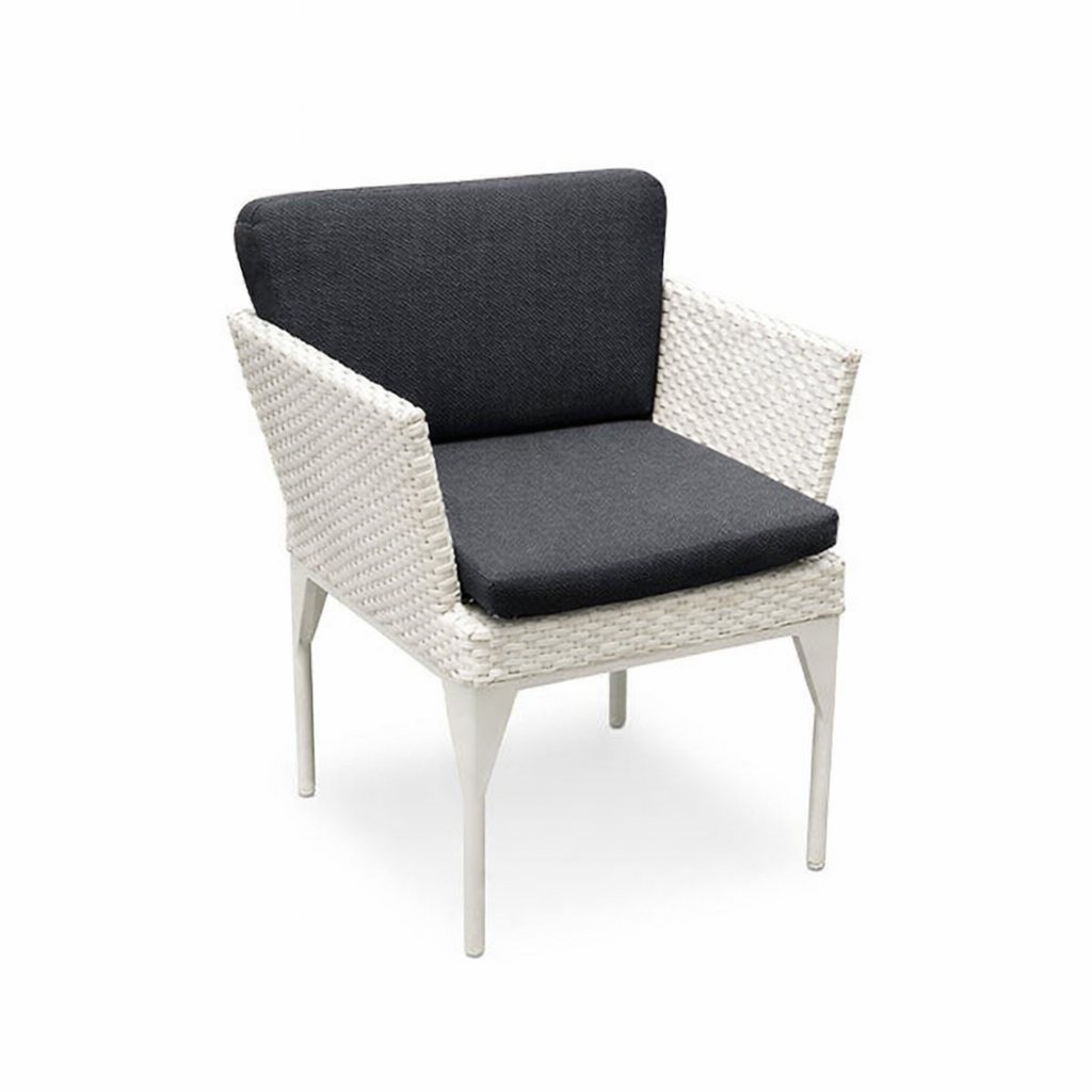 DINING ARMCHAIR WITH CUSHION (AHO/060/001)