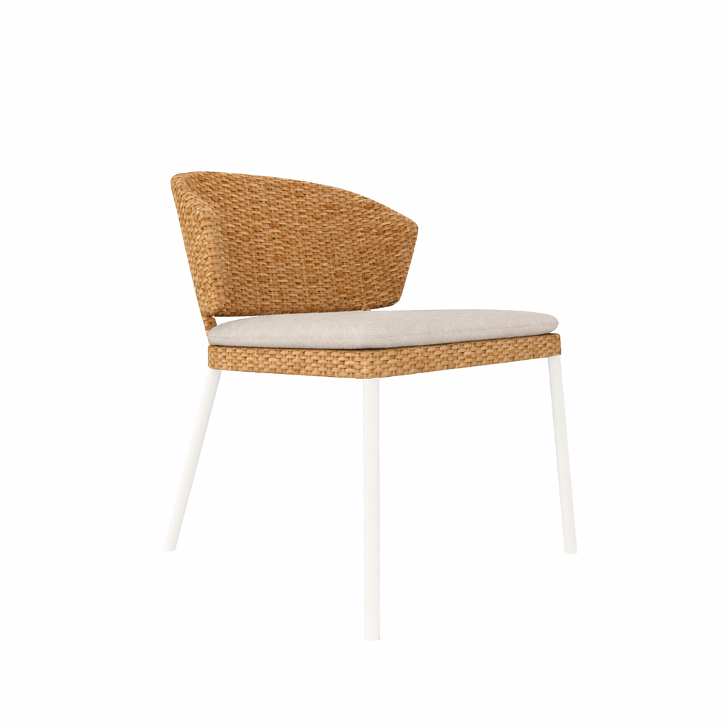 CHAIR WITH CUSHION (AHO/015/001)