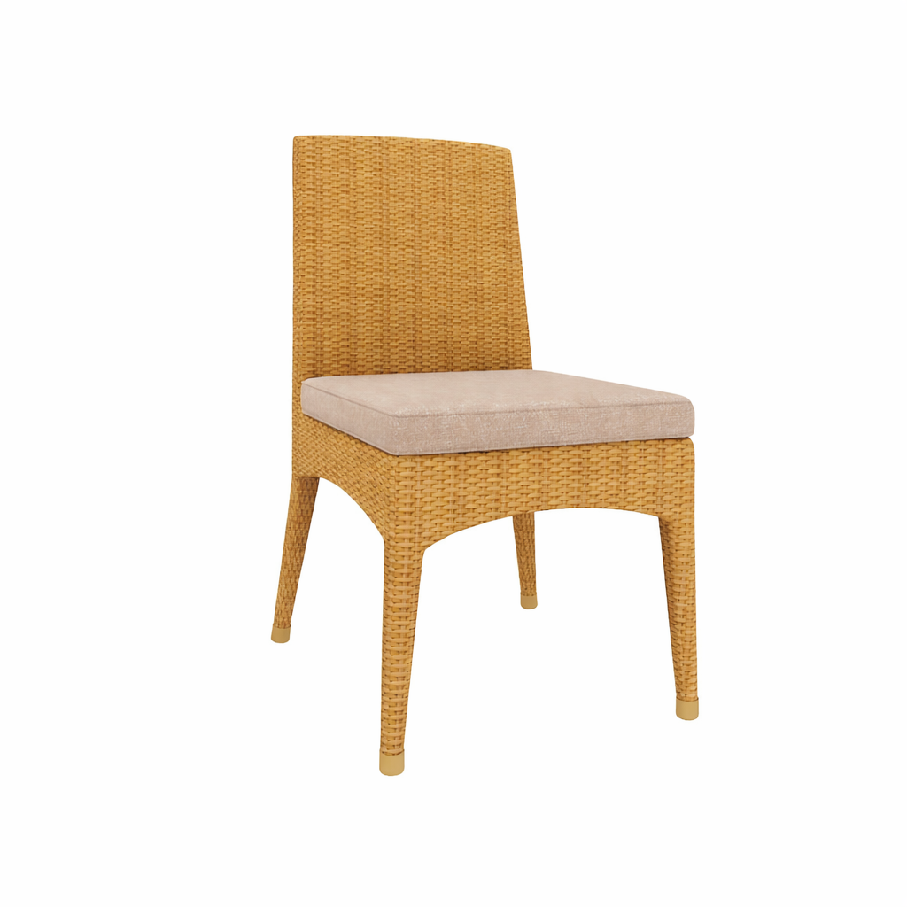 CHAIR WITH CUSHION (AHO/021/001)