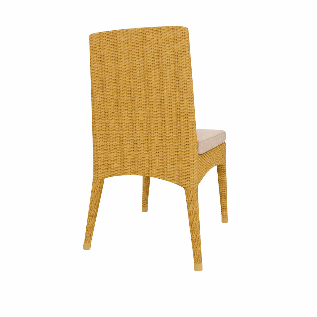CHAIR WITH CUSHION (AHO/021/001)