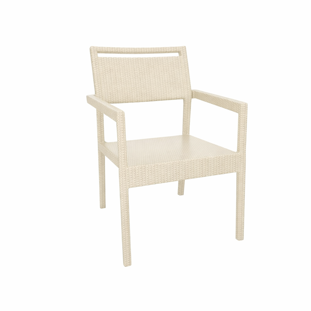 DINING ARMCHAIR WITH CUSHION (AHO/005/001)