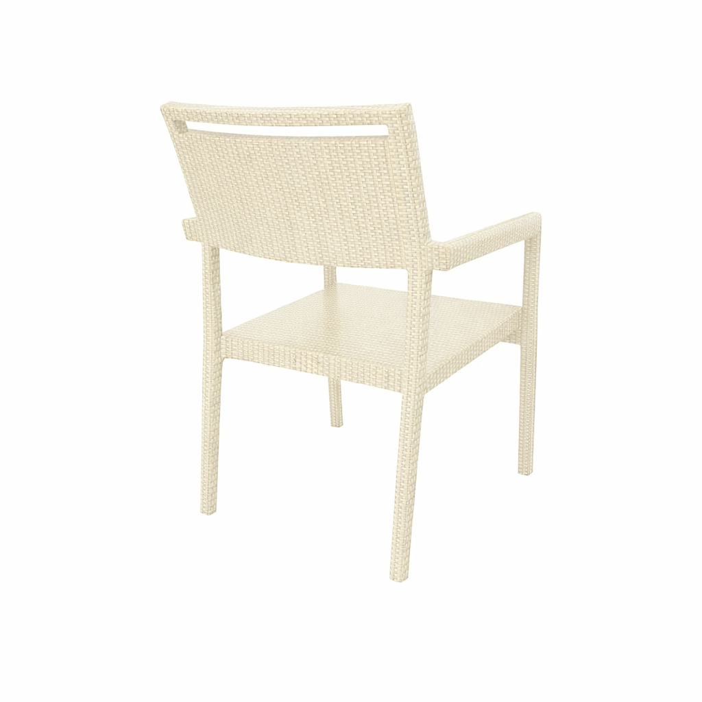 DINING ARMCHAIR WITH CUSHION (AHO/005/001)
