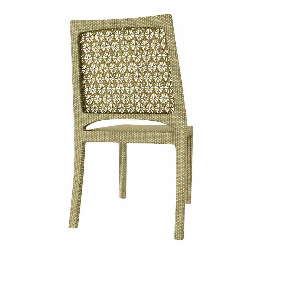 CHAIR WITH CUSHION (AHO/030/010)