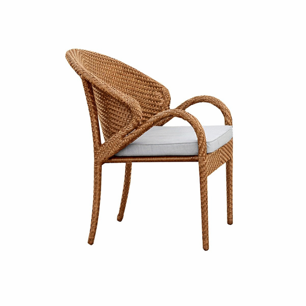 DINING ARMCHAIR WITH CUSHION (AHOD/143/001)