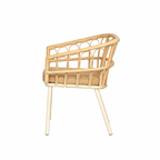 OUTDOOR DINING ARM CHAIR WITH CUSHION (AHO/075/001)