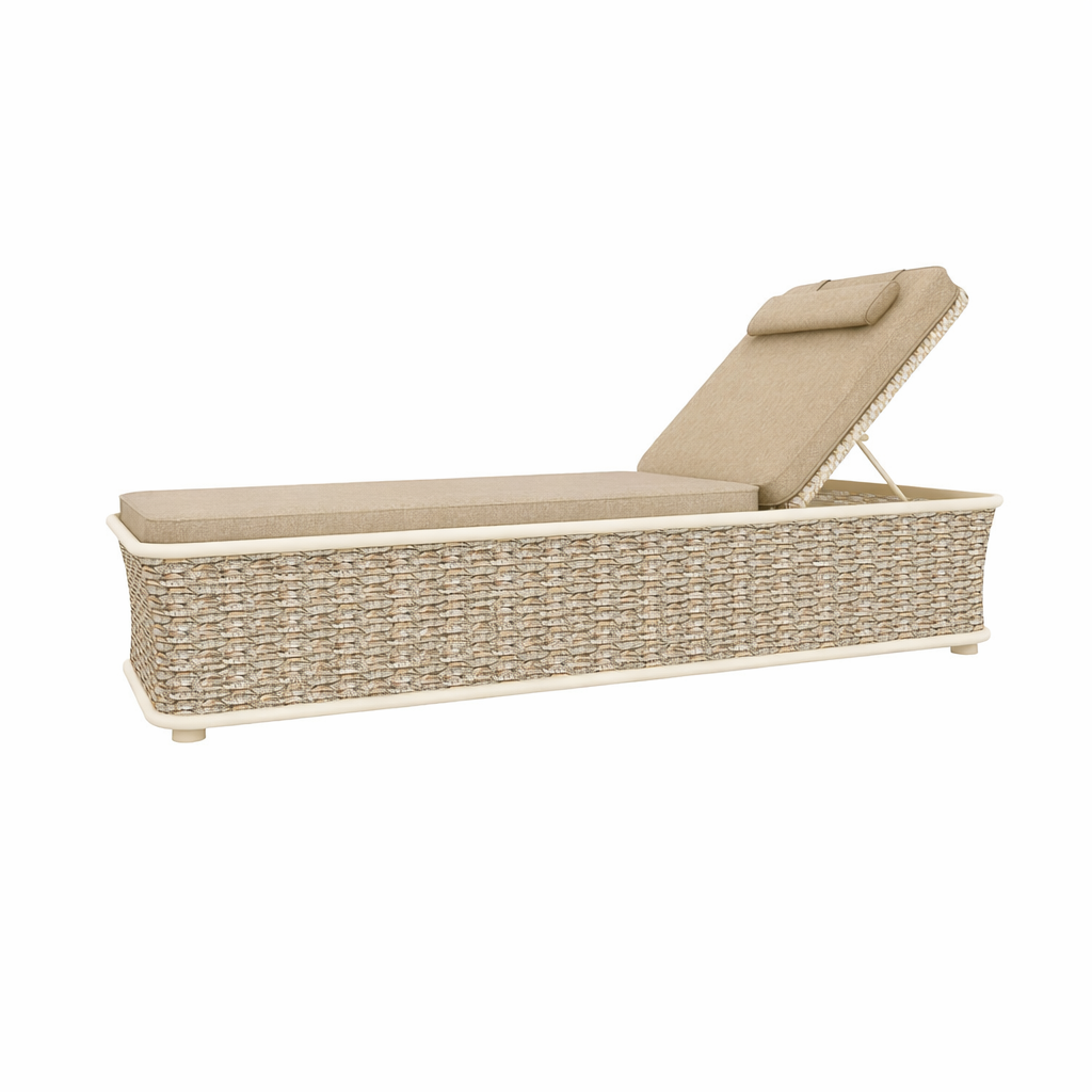 LOUNGER WITH CUSHION (AHO/029/005)