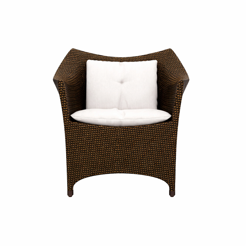 FULLY WOVEN SINGLE SEATER SOFA WITH CUSHIONS (AHO/001/018)
