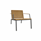 LOUNGE CHAIR WITH CUSHION (AHO/045/016)