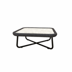 COFFEE TABLE WITH GLASS TOP (AHO/033/005)