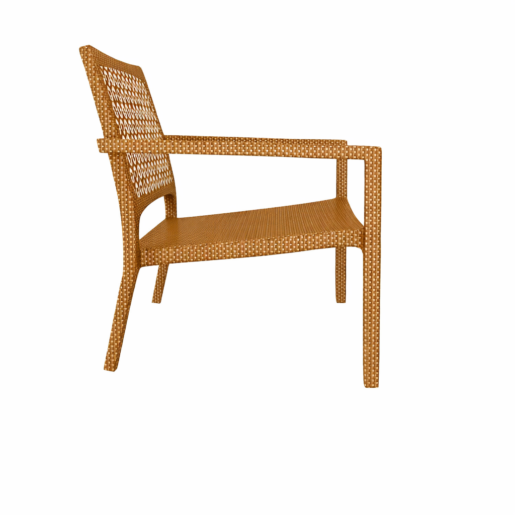 LOUNGE ARMCHAIR WITH CUSHION (AHO/030/013)