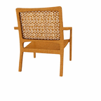 LOUNGE ARMCHAIR WITH CUSHION (AHO/030/013)
