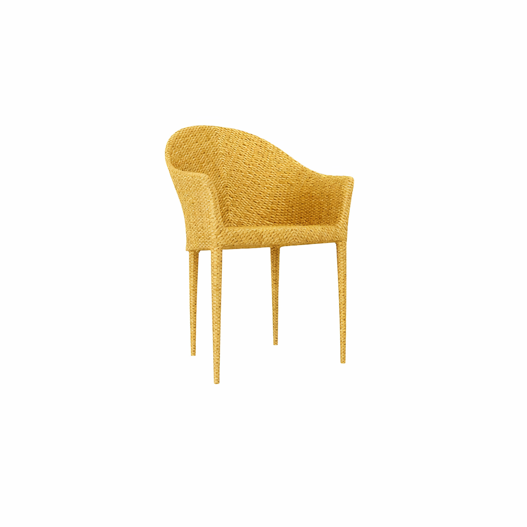 DINING ARMCHAIR WITH CUSHION (AHO/011/001)