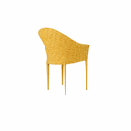 DINING ARMCHAIR WITH CUSHION (AHO/011/001)